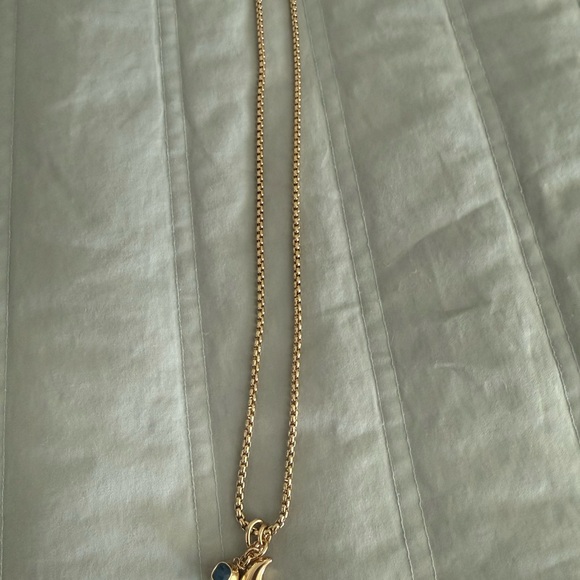 Roxanne Assoulin Gold Moon Pendant Necklace with Blue Accent - Picture 4 of 4